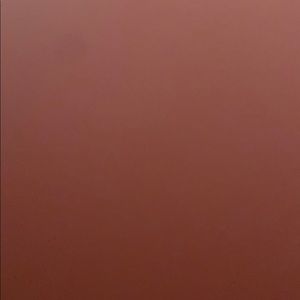 Meet your Posher, Shauntavia